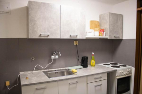 Small affordable apartment in Šiška district
